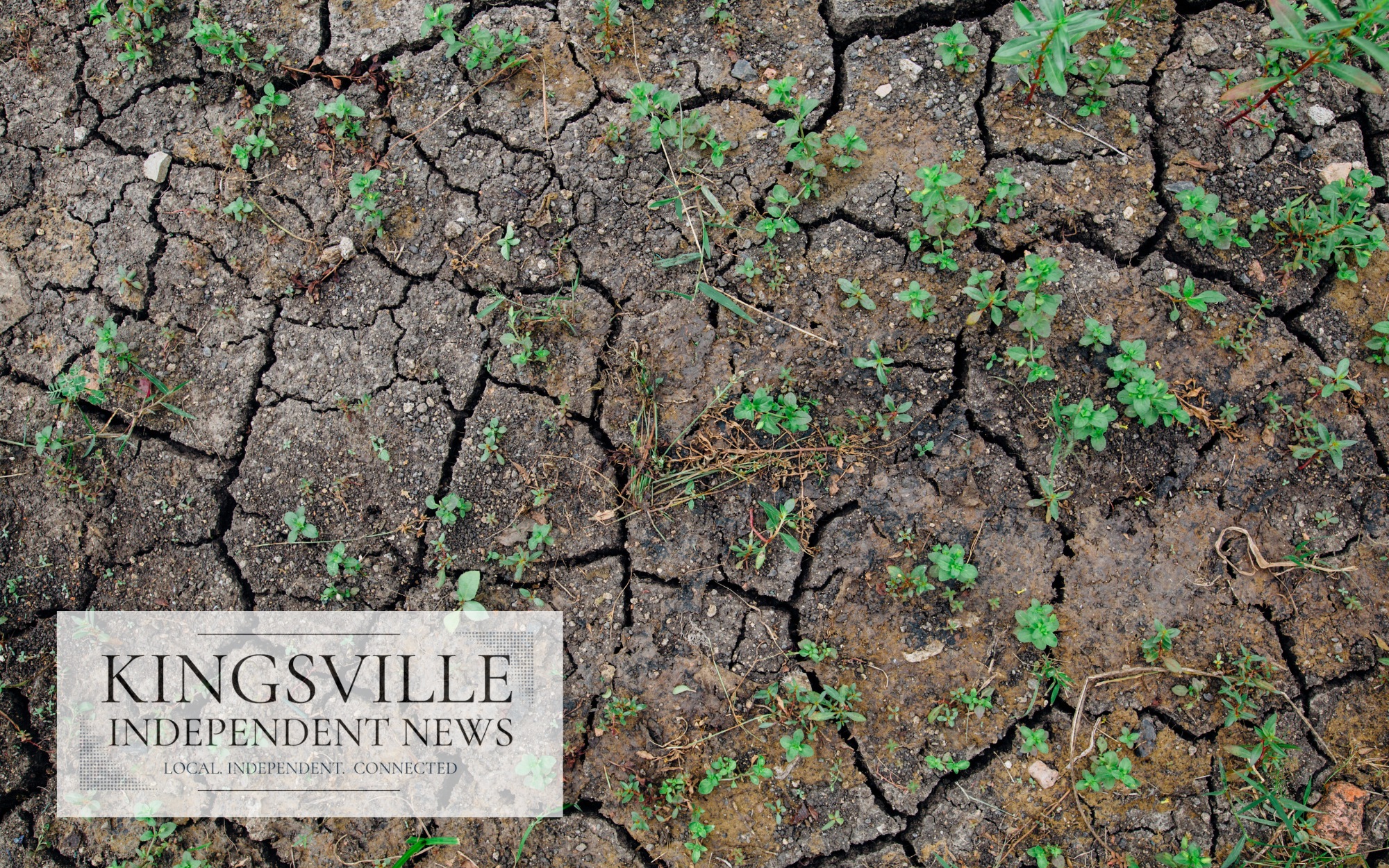 Corpus Christi remains under Stage 3 drought restrictions: What it means for Kingsville and surrounding areas